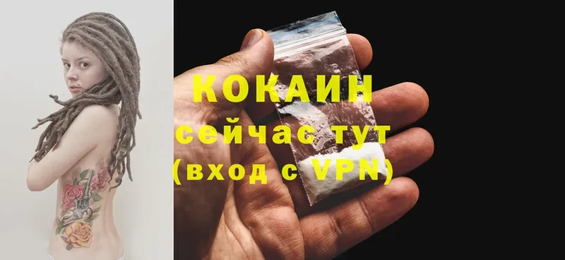 наркотики  Карасук  COCAIN FishScale 